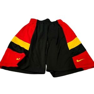 Men's Nike Dri Fit shorts
